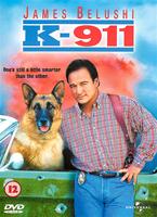  Online DVD Rental