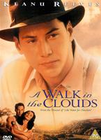  Online DVD Rental