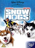  Online DVD Rental