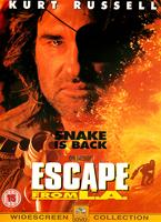  Online DVD Rental