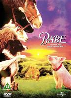  Online DVD Rental