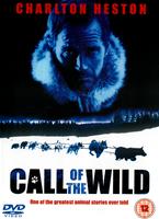  Online DVD Rental