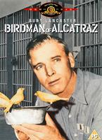  Online DVD Rental