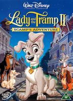  Online DVD Rental