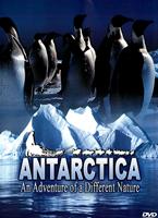 Antarctica Online DVD Rental
