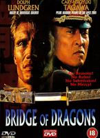  Online DVD Rental