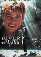  Online DVD Rental