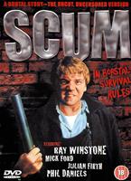  Online DVD Rental