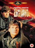  Online DVD Rental