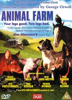  Online DVD Rental
