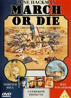  Online DVD Rental