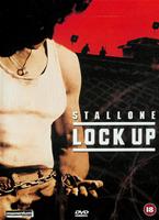  Online DVD Rental