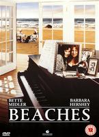  Online DVD Rental