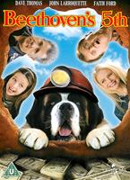  Online DVD Rental