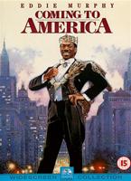 Online DVD Rental