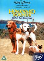  Online DVD Rental
