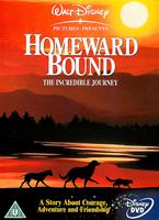 Homeward Bound Online DVD Rental