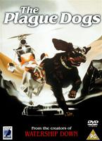  Online DVD Rental