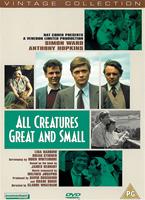  Online DVD Rental