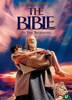  Online DVD Rental