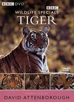  Online DVD Rental