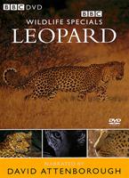  Online DVD Rental
