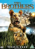 Two Brothers Online DVD Rental