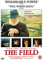  Online DVD Rental