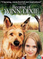  Online DVD Rental