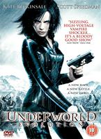  Online DVD Rental