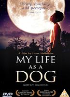 My Life as a Dog Online DVD Rental