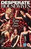 Desperate Housewives: Season 2 Online DVD Rental