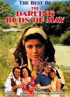  Online DVD Rental