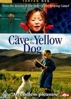  Online DVD Rental