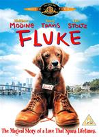 Fluke Online DVD Rental