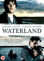  Online DVD Rental