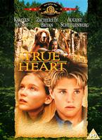  Online DVD Rental