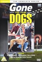  Online DVD Rental