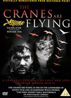  Online DVD Rental