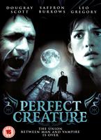  Online DVD Rental