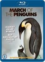  Online DVD Rental