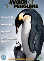 March Of The Penguins  Online DVD Rental
