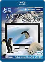  Online DVD Rental