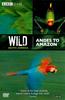 Wild South America: Andes To Amazon Online DVD Rental