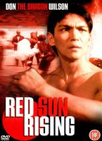  Online DVD Rental