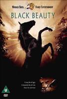  Online DVD Rental