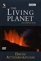  Online DVD Rental