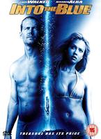  Online DVD Rental