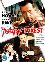  Online DVD Rental