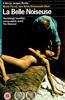 The Beautiful Troublemaker Online DVD Rental